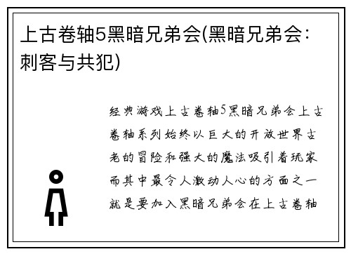 上古卷轴5黑暗兄弟会(黑暗兄弟会：刺客与共犯)